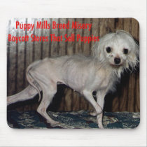 Mousepad by Prisonersofgreed Mousepad