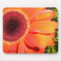 Mousepad by bibigirl Mousepad