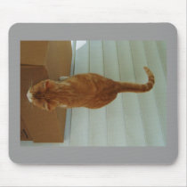 ? mousepads