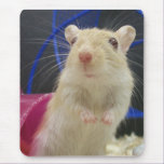 Mousepad mousepads