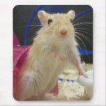 Mousepad mousepads