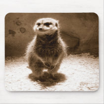 mousepad34
