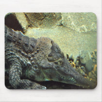 mousepad36