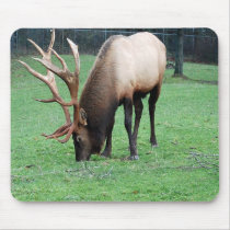mousepad48