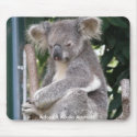 Mousepad Adopt A Koala Australia