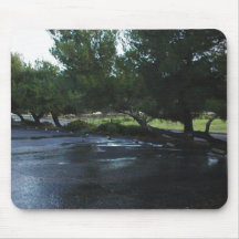 Mousepad: After the rain.