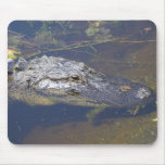 Mousepad Alligator Sunbathing