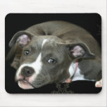 Mousepad azul del perrito de Pitbull