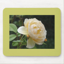 Mousepad - Beautiful Rose mousepads