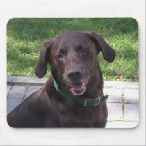 MousePad - Blake Chocolate Lab by PinkMonkey_8 MousePad - Blake Chocolate Lab