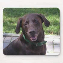 MousePad - Blake Chocolate Lab
