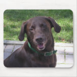 MousePad - Blake Chocolate Lab