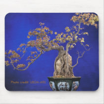 Mousepad / Bonsai Trident Maple