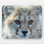 Mousepad-cheetah-cub10x10