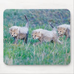 Mousepad - Cheetah cubs
