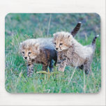 Mousepad -  Cheetah cubs running