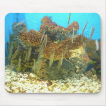 mousepad corals by jun2lorie mousepad corals