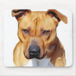 Mousepad de Pitbull