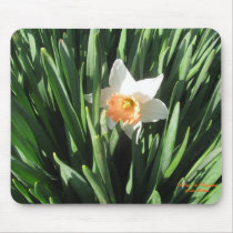 Mousepad del narciso tapetes para ratón