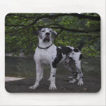 Mousepad Dogge of acre