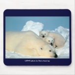 Mousepad / Endangered / Polar Bear & Cubs