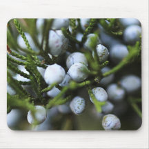 Mousepad for Nature Lovers