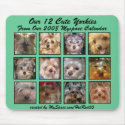 MOUSEPAD - From YORKIES 2008 CALENDAR  ( Green )