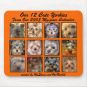 MOUSEPAD - From YORKIES 2008 CALENDAR ( Orange )