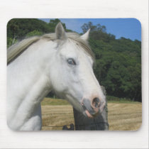 mousepad, grey gelding