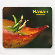 Mousepad: Heliconia Flower
