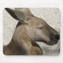 Mousepad Kangaroo Australia Photo ZIZZAGO