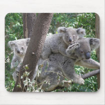 Mousepad Koala and Two Babies Photo Zizzago by shanmaree Mousepad Koala and Two Babies Photo Zizzago