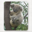 Mousepad Koala In Tree Australia