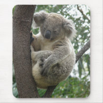 Mousepad Koala In Tree Australia