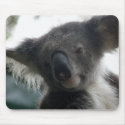 Mousepad Koala With Winged Ears Australia