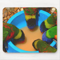 Mousepad, Lorikeets