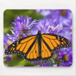 Mousepad Monarch Butterfly on Purple Asters