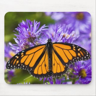 Mousepad Monarch Butterfly on Purple Asters