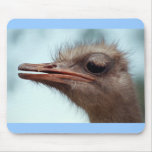 Mousepad, Ostrich