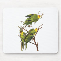 Mousepad: Parakeet - by John Audubon
