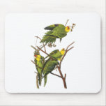 Mousepad: Parakeet - by John Audubon