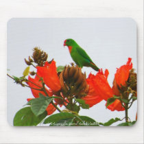 Mousepad-Parrot, green and orange Colasisi by webdiva888 Mousepad-Parrot, green and orange Colasisi