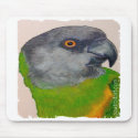 Mousepad - Senegal Parrot