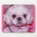 Mousepad Shih Tzu Dog by shanmaree Mousepad Shih Tzu Dog