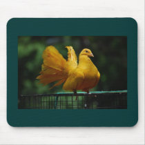 Mousepad - Sunshine the pigeon