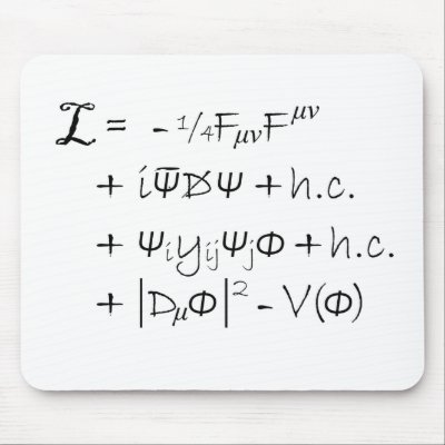 Standard Model Equation