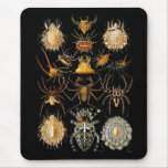 Mousepad Vintage Artist Ernst Haeckel Arachnida