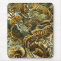 Mousepad Weinlese-Künstler Ernst Haeckel Lacertili