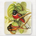 Mousepad Vintage Malabar Trogon Birds