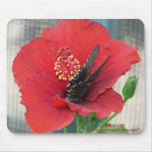 mousepad with butterfly on red flower